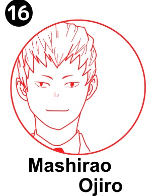 My Hero Academia-Woodtype(U.A High school ,Pro Hero)