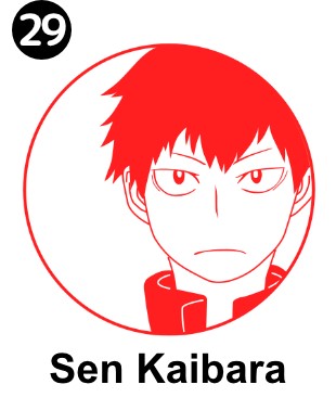 My Hero Academia-Woodtype(U.A High school ,Pro Hero)