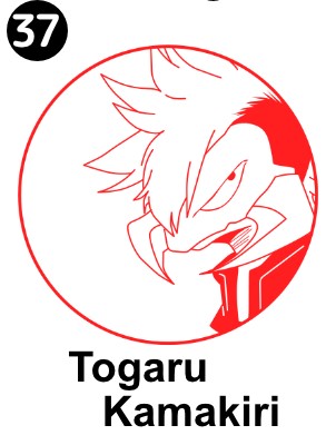 My Hero Academia-Woodtype(U.A High school ,Pro Hero)